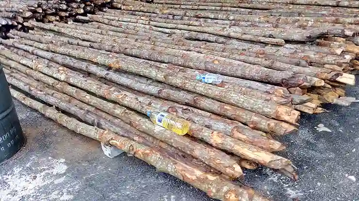 Harga Kayu Bakau