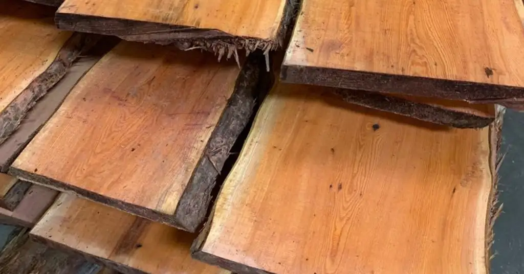 Ciri Kayu yang Lebih Tahan terhadap Anai-Anai